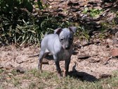 Enlarge photo 6