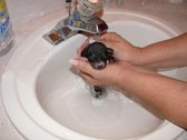 Enlarge photo 5
