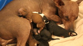 Enlarge photo 15