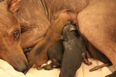 Enlarge photo 7