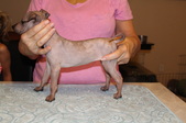 Enlarge photo 11