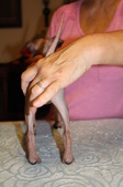 Enlarge photo 8