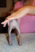 Enlarge photo 7