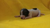 Enlarge photo 22