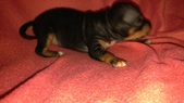 Enlarge photo 7
