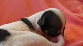 Enlarge photo 2