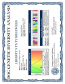 Enlarge PDF 6
