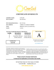 Enlarge PDF 140