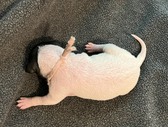 Enlarge photo 16