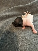 Enlarge photo 19