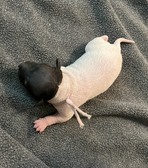Enlarge photo 22