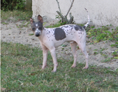 Enlarge photo 13
