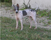 Enlarge photo 12