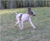 Enlarge photo 7