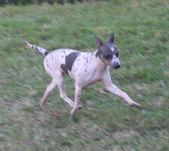 Enlarge photo 6