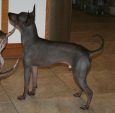 Enlarge photo 20