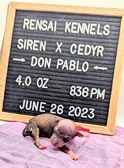 Enlarge photo 5