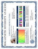 Enlarge PDF 4