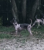 Enlarge photo 19
