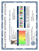 Enlarge PDF 8