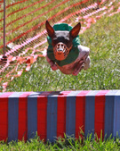 Enlarge photo 6