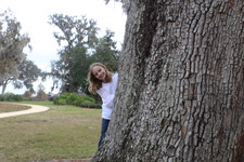 Enlarge photo 37