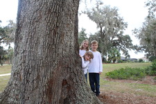 Enlarge photo 40
