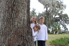 Enlarge photo 39