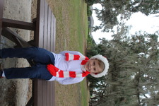 Enlarge photo 71