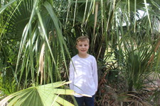 Enlarge photo 95