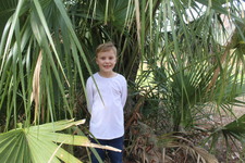 Enlarge photo 97