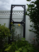 Enlarge photo 5