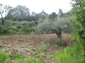Enlarge photo 25