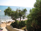Enlarge photo 33