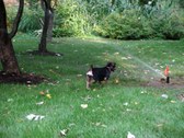 Enlarge photo 24