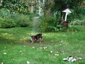 Enlarge photo 23