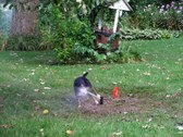 Enlarge photo 22