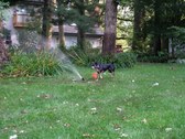 Enlarge photo 18