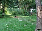 Enlarge photo 19