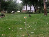 Enlarge photo 15
