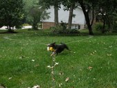 Enlarge photo 16