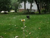 Enlarge photo 14