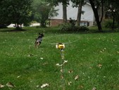 Enlarge photo 17