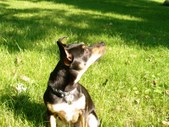 Enlarge photo 12
