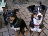 Betty and Jax 2006