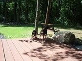 Enlarge photo 3