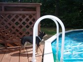 Enlarge photo 17