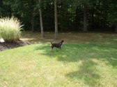 Enlarge photo 19