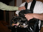 Enlarge photo 3
