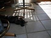 Enlarge photo 7